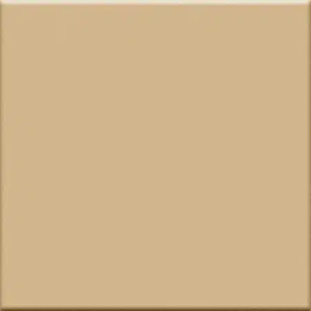 IN Beige 20×20